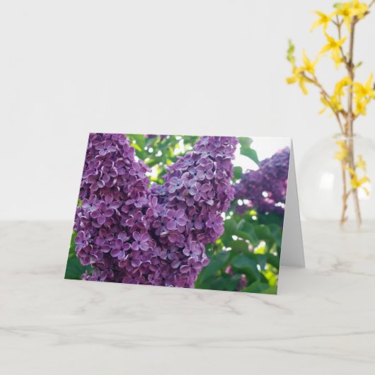 Paarse Lilacs-Wenskaart Kaart (Gele Bloem)