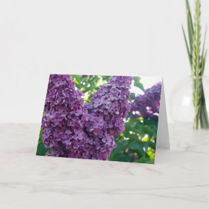 Paarse Lilacs-Wenskaart Kaart