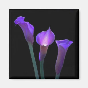 Paarse Lilies Magneet