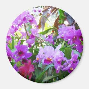 Paarse Lilies Magnet