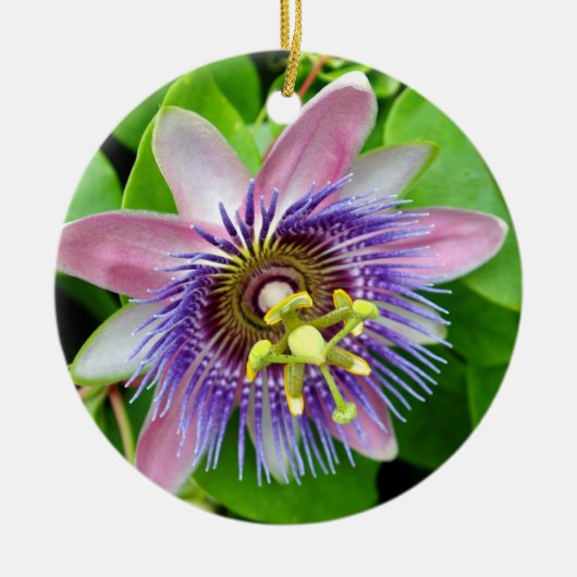 Paarse Lilikoi Passion Flower, kerstversiering Keramisch Ornament (Voorkant)