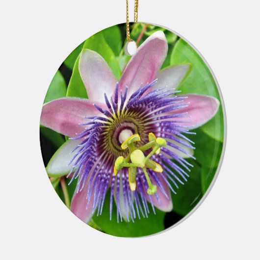 Paarse Lilikoi Passion Flower, kerstversiering Keramisch Ornament (Links)