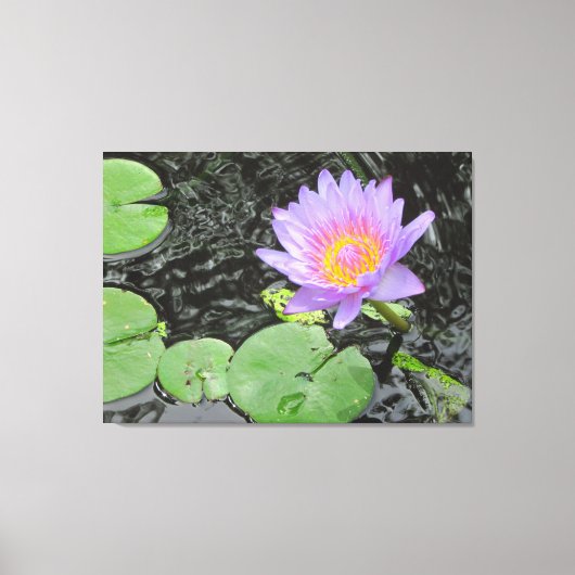 Paarse Lily en Pads Canvas Afdruk (Voorkant)