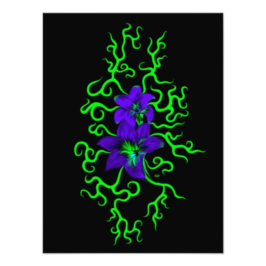 Paarse Lily Flower op zwart Foto Afdruk (Voorkant)