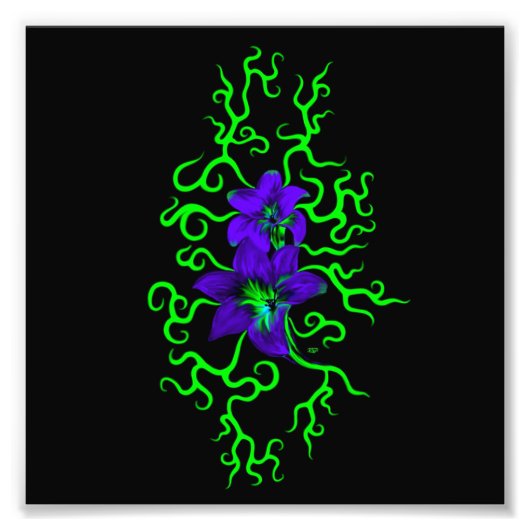 Paarse Lily Flower op zwart Foto Afdruk (Voorkant)