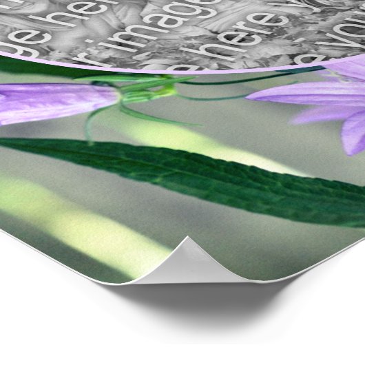 Paarse Lily Flowers Lijst Creëer Uw eigen foto Poster (Hoek)