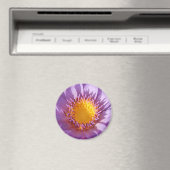 Paarse Lily Magnet (Insitu (Vaatwasser))