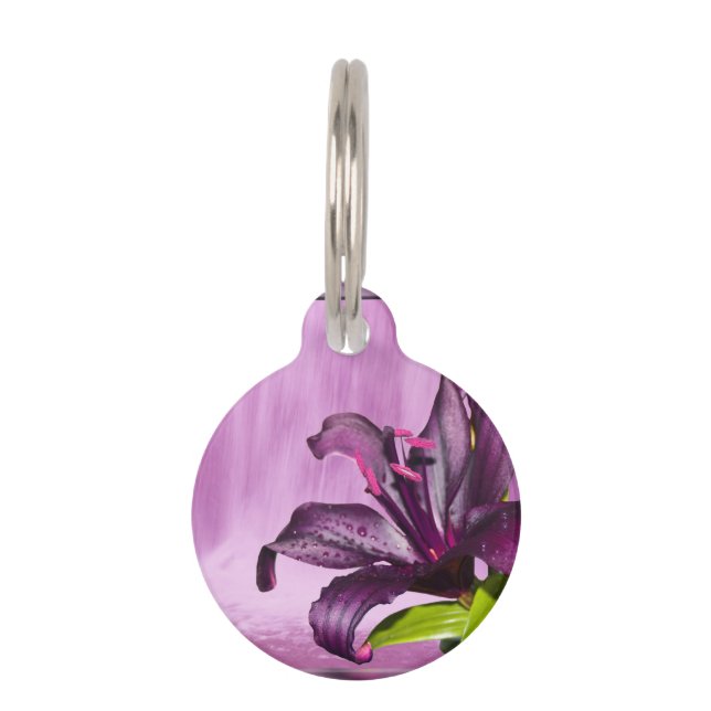 Paarse Lily met Waterfall Huisdierpenning (Voorkant)