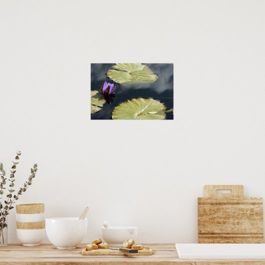 Paarse Lily Poster (Keuken)