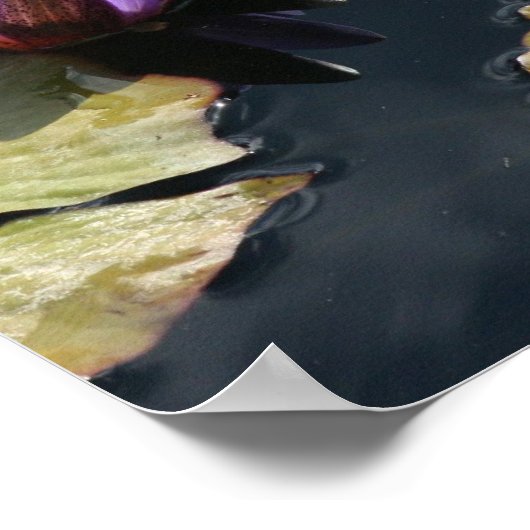 Paarse Lily Poster (Hoek)
