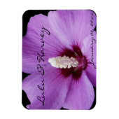 Paarse Lily Up Close Magneet (Verticaal)