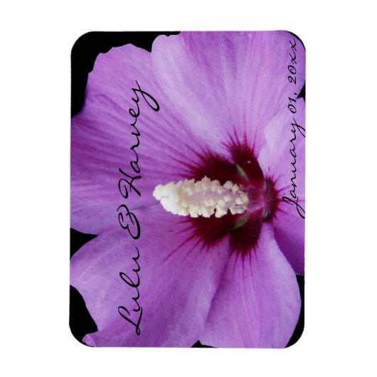 Paarse Lily Up Close Magneet (Verticaal)