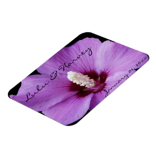 Paarse Lily Up Close Magneet (Linkerzijde)