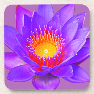 Paarse Lotus Bloem Bier Onderzetter