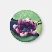 Paarse Lotus Bloem FotomagneetPaarse Lotus Magneet (Voorkant)