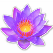 Paarse Lotus Bloem Sticker (Voorkant)