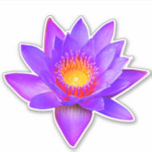 Paarse Lotus Bloem Sticker (Voorkant)