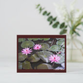 Paarse lotus briefkaart (Staand voorkant)