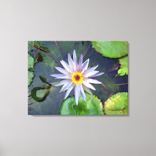Paarse Lotus Canvas Afdrukken