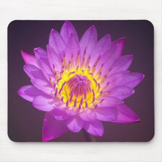 Paarse Lotus Flower Muismat (Voorkant)