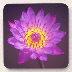 Paarse Lotus Flower Onderzetter