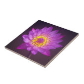 Paarse Lotus Flower Tegeltje (Zijkant)