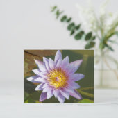 Paarse Lotus/Water Lily Briefkaart (Staand voorkant)