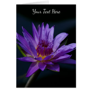 Paarse Lotus Waterlily