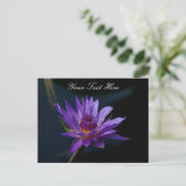 Paarse Lotus Waterlily Briefkaart (Staand voorkant)