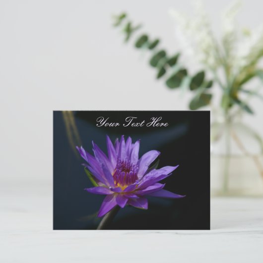 Paarse Lotus Waterlily Briefkaart (Staand voorkant)