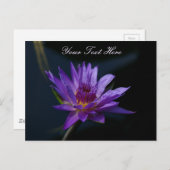 Paarse Lotus Waterlily Briefkaart (Voorkant / Achterkant)