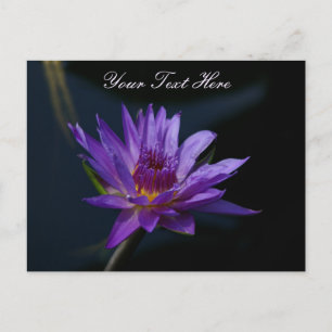 Paarse Lotus Waterlily Briefkaart