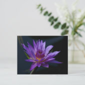 Paarse Lotus Waterlily Briefkaart (Staand voorkant)