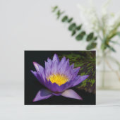 Paarse Lotus Waterlily Briefkaart (Staand voorkant)