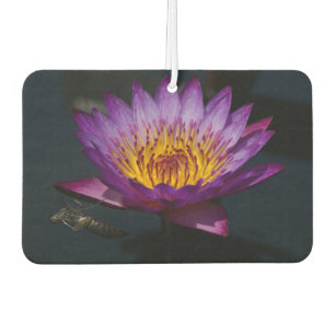 Paarse Lotus Waterlily Dragonfly Luchtverfrisser