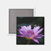 Paarse Lotus Waterlily Dragonfly magnet (Voorkant / Achterkant)