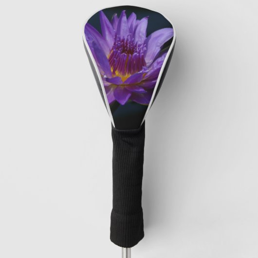 Paarse Lotus Waterlily Golfheadcover (Voorkant)