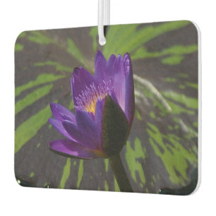 Paarse Lotus Waterlily Luchtverfrisser