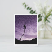 Paarse Lucht Briefkaart (Staand voorkant)