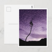 Paarse Lucht Briefkaart (Voorkant / Achterkant)