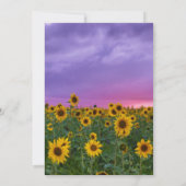 Paarse lucht & zonnebloemen | Viering van het leve Kaart (Achterkant)