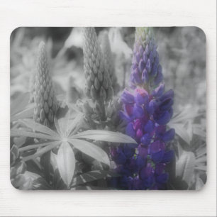 Paarse luibloemen zwart en witte mousepad muismat