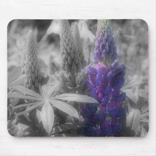 Paarse luibloemen zwart en witte mousepad muismat (Voorkant)