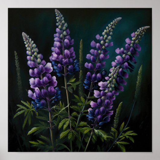 Paarse Lupine Bloem Kunstprint Poster (Voorkant)