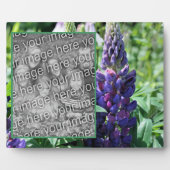 Paarse lupine bloem Voeg je eigen foto toe Fotoplaat (Voorkant)