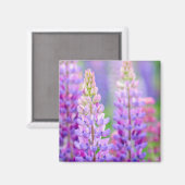 Paarse Lupine Bloemen Magneet (Voorkant / Achterkant)
