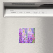 Paarse Lupine Bloemen Magneet (Insitu (Vaatwasser))