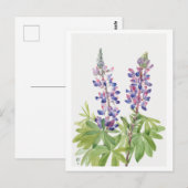 Paarse Lupine Botanische Illustratie Briefkaart (Voorkant / Achterkant)