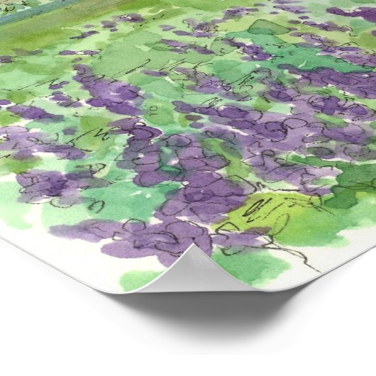 Paarse Lupine Field of Flowers Waterverf Meadow Poster (Hoek)