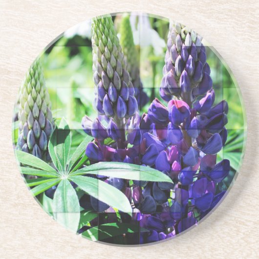 Paarse Lupine Floral Onderzetter (Voorkant)